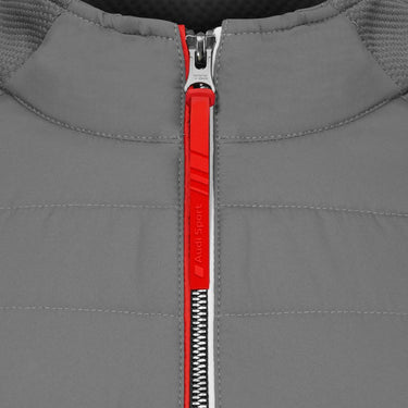 Audi Sport Hybridjacke, Damen, grau (166353)