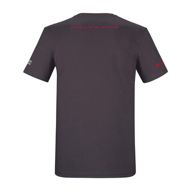 Audi Sport T-Shirt RS Q e-tron, Herren, grau (193561)