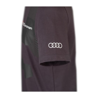 Audi Sport T-Shirt RS Q e-tron, Herren, grau (193561)